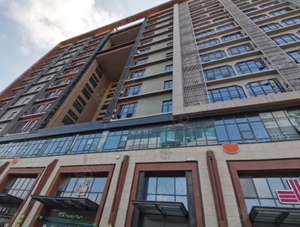 上海市嘉定区嘉域生活中心公寓出售，屹立于嘉定新城核心区域