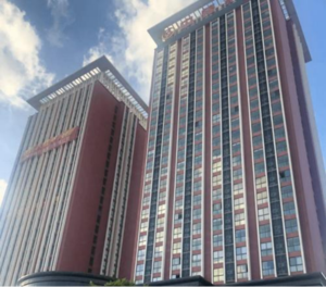 上海市浦东区浦东微谷公寓出售，5条市域线+2条市区线+多条局域线